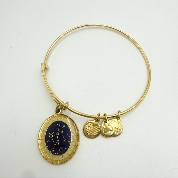Alex and Ani Gold Celestial Wheel Scorpio Zodiac Charm Bangle Bracelet - Picture 7 of 7